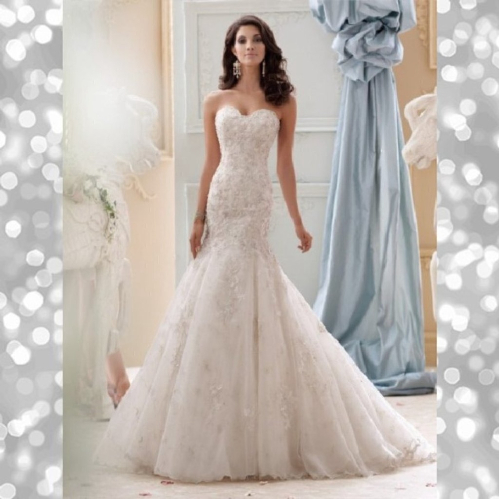 NWT Mon Cheri David Tutera Wedding Gown 115232 Size 10